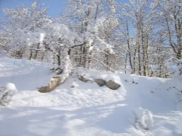 30 см сняг в Кърджали