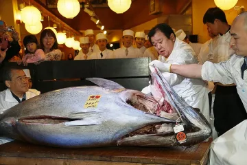 Дават $1,8 млн. за риба тон