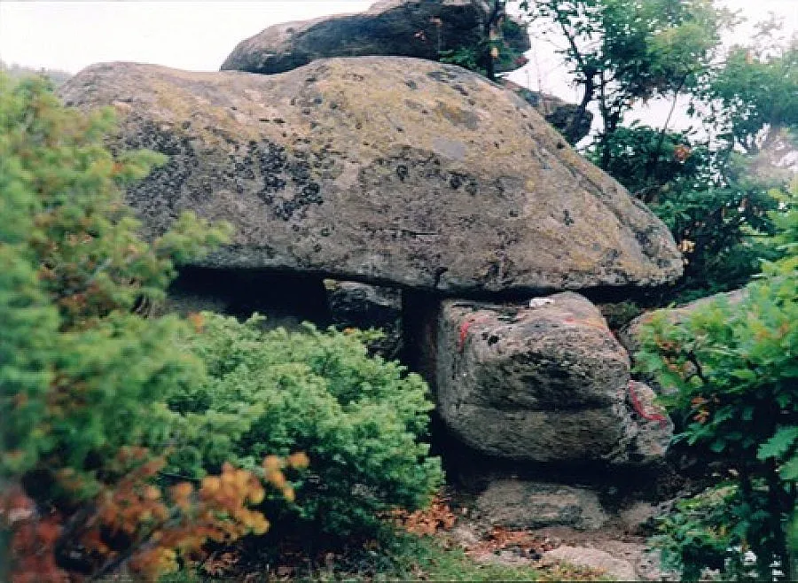 Вадят костенурки от древно светилище