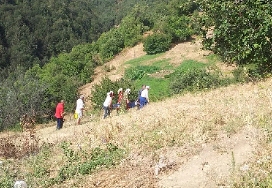 Катър стана линейка