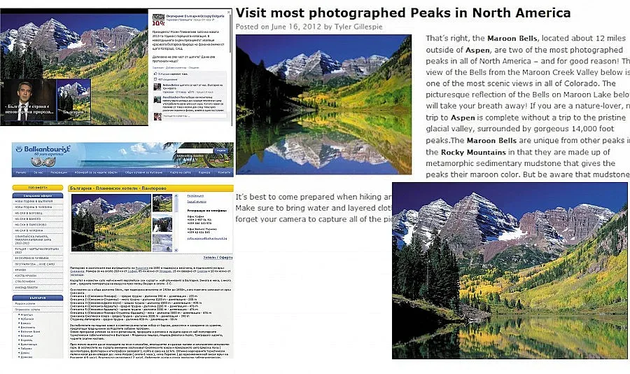 Президентството обяви Аспен за български 