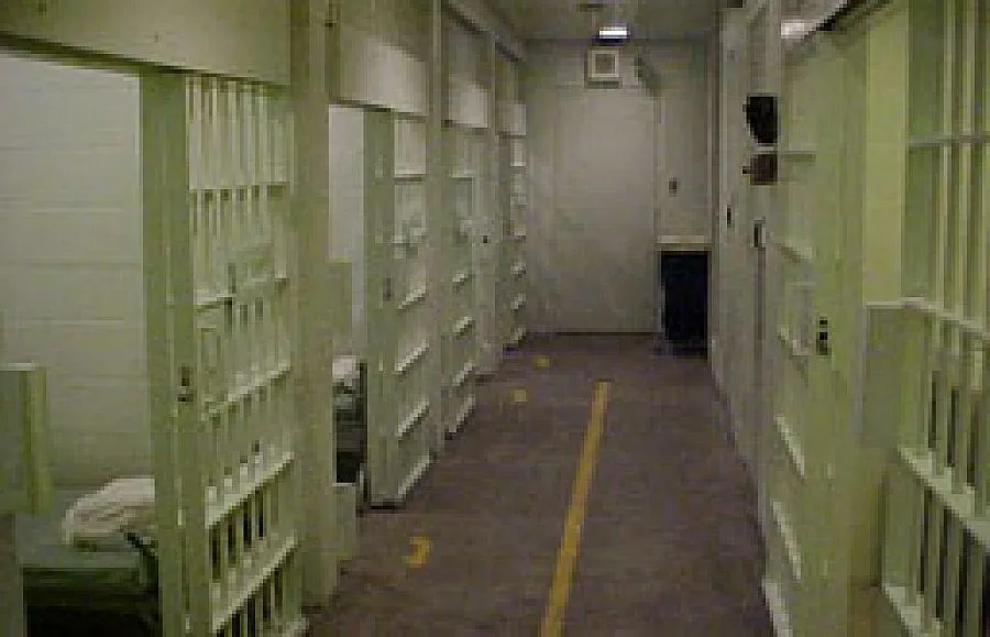 Пускат у дома примерни затворници