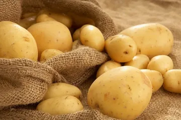 Спряха опасни картофи