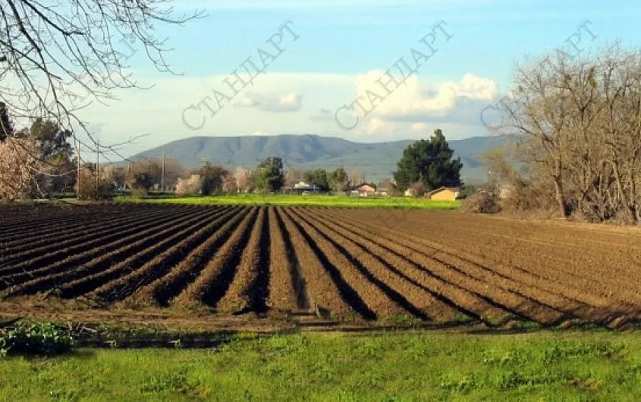 Нивите поскъпнаха с 25% през 2012 г.