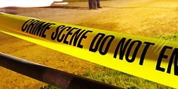 Ирландски министър открит мъртъв