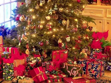 Депутати викат Дядо Коледа на бис