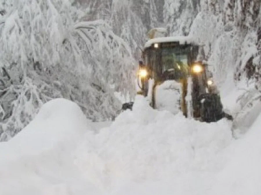 Автобус и камион изгоряха в преспите