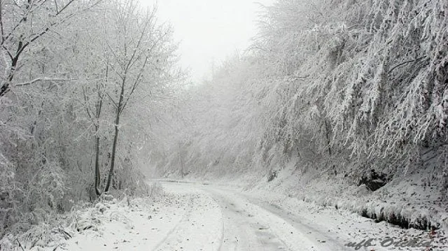 Синоптиците алармират: Страхотна зимна обстановка до дни