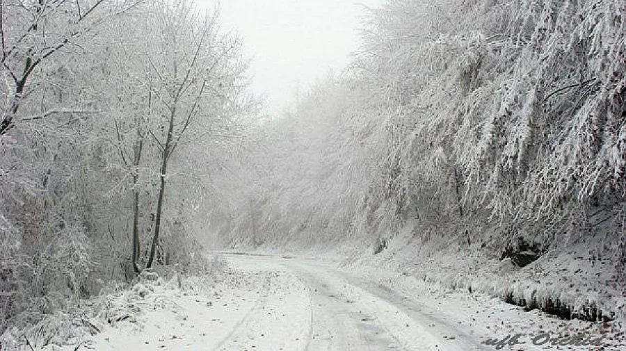 Синоптиците алармират! Страховита зима ни удря до дни