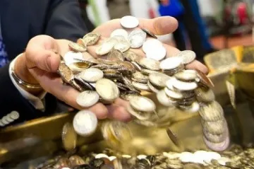 Брюксел не очаква фискална дестабилизация у нас