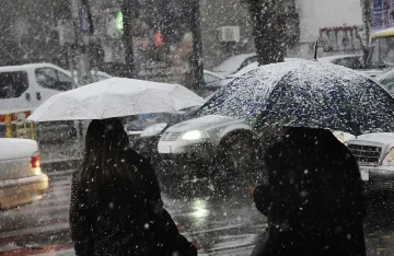 Студът взе нова жертва (обновена)