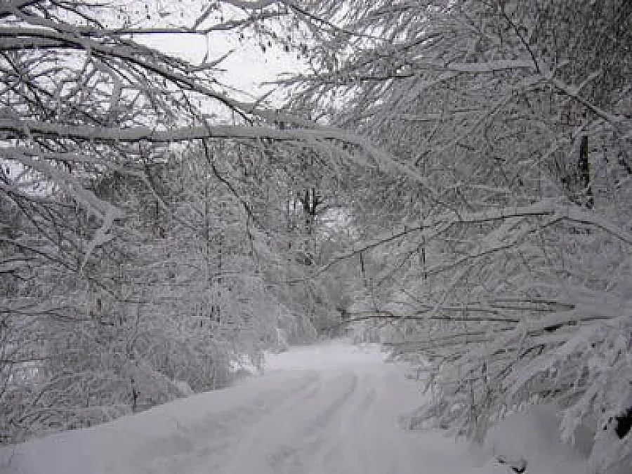 Снегът затвори пътища в Разградско