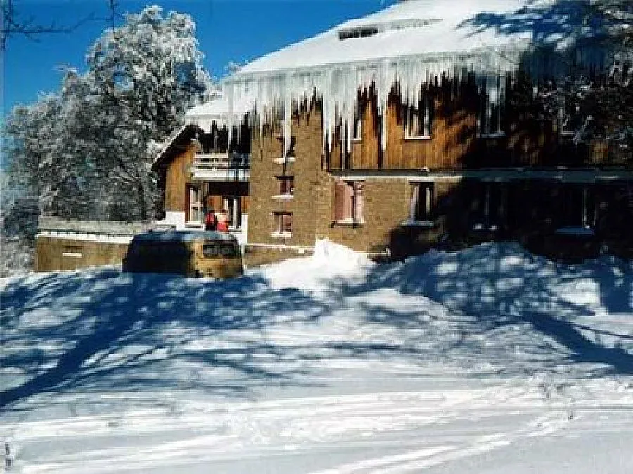 Фирми наемат вили за коледните банкети