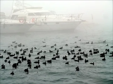 Държавата дължи 200 бона данък на Варна