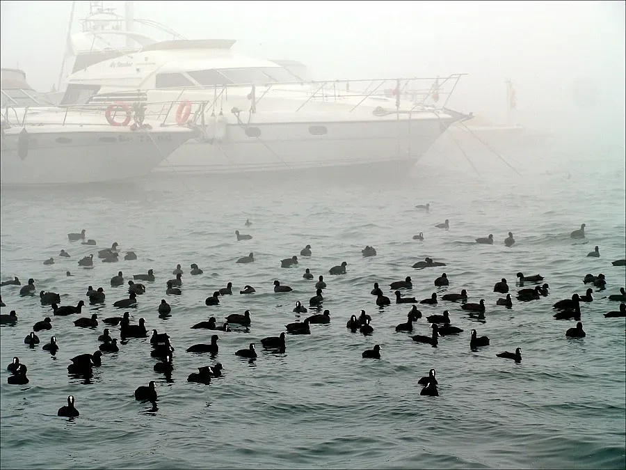 Държавата дължи 200 бона данък на Варна