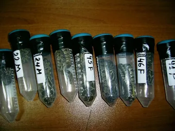 Пишман учен препаса отровни змии