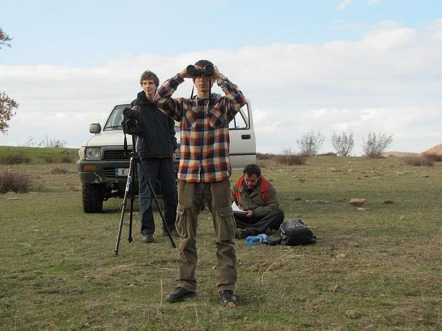 Преброиха 161 белоглави лешояда