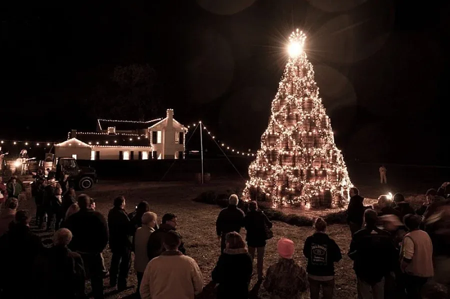 Коледа под вода