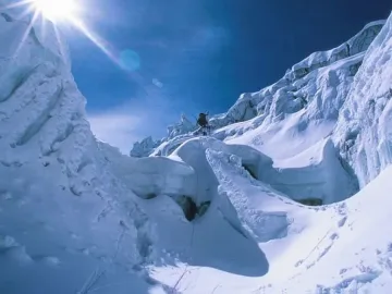 Крадат видеокамери от гората