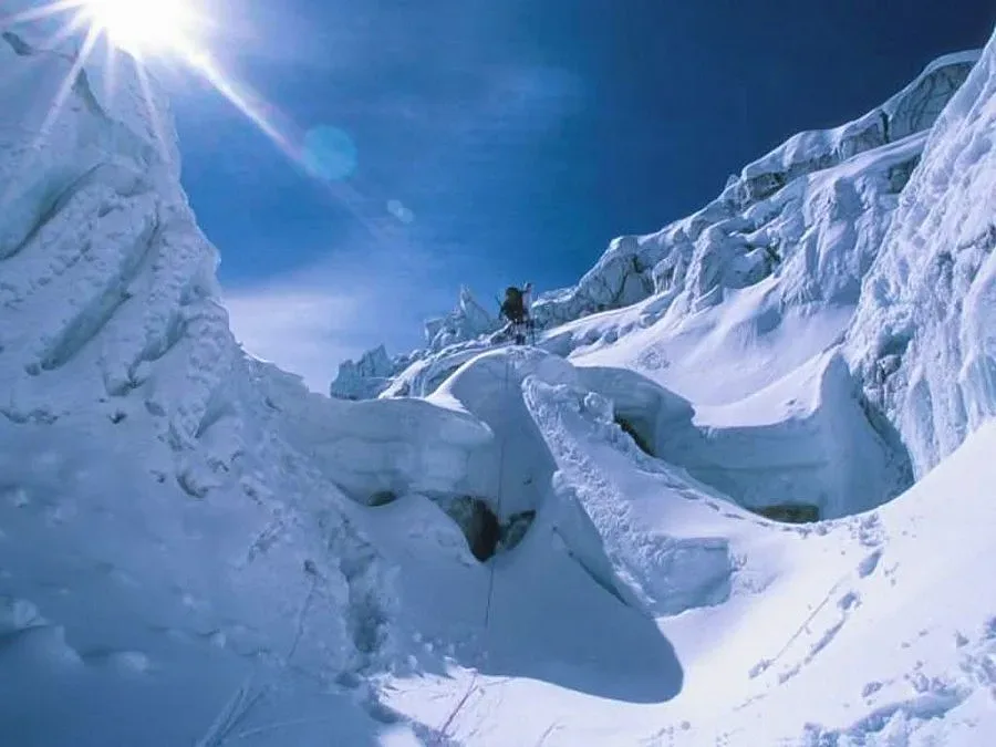 Крадат видеокамери от гората