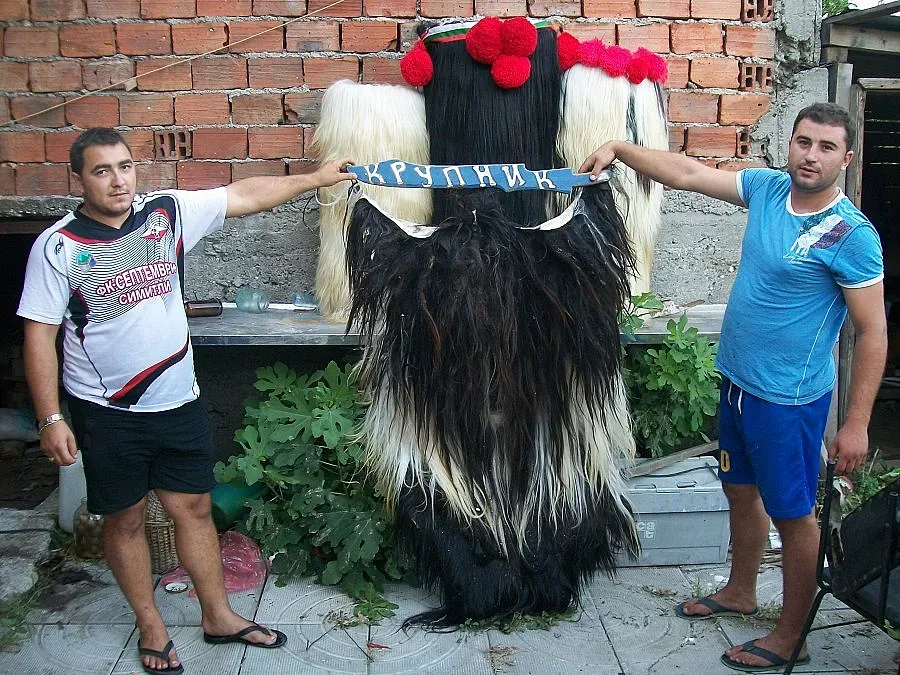 Кукерска война тресе Крупник