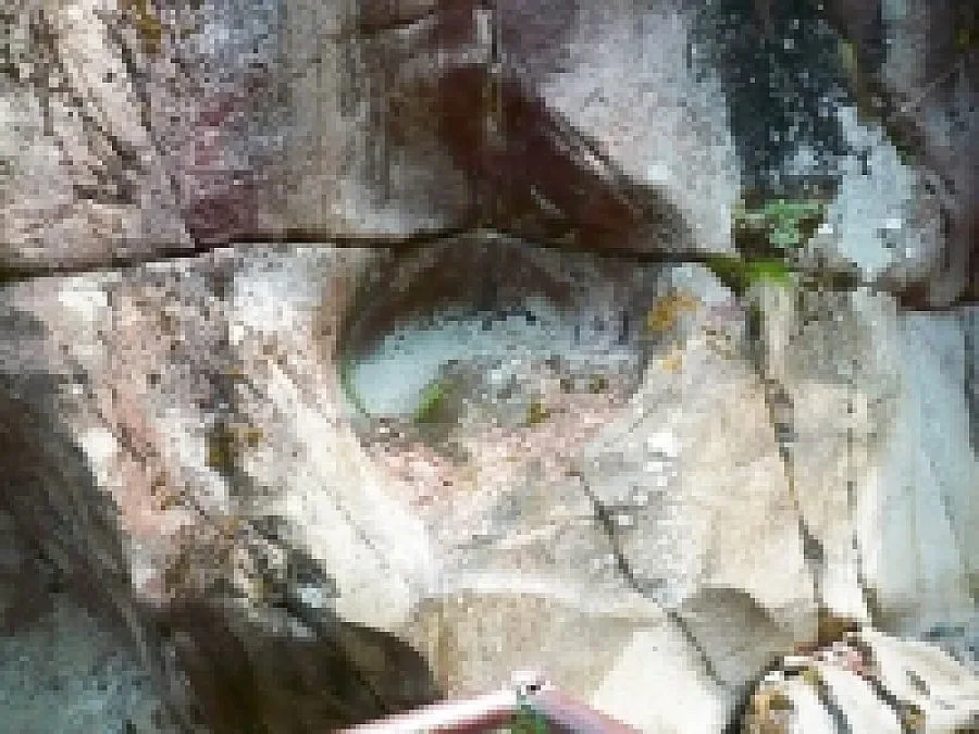 Македонци полудяха по стъпката на Крали Марко