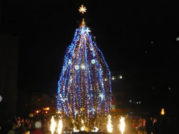 Бургас с елха от рибарски мрежи    