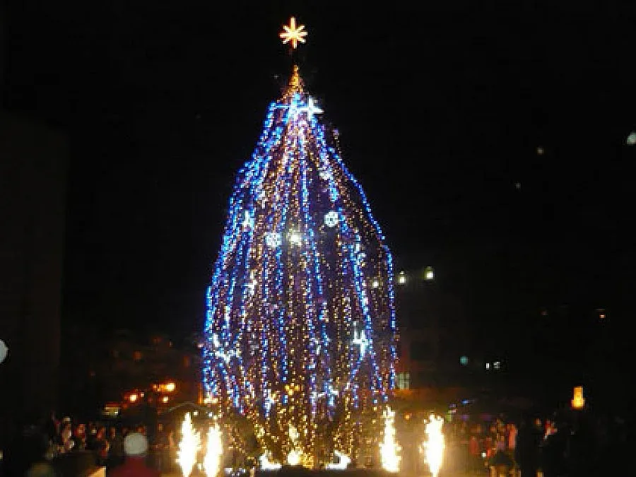 Бургас с елха от рибарски мрежи    