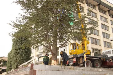 Дядо Коледа идва на Никулден