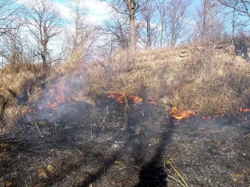 Дядо отива на съд за палеж