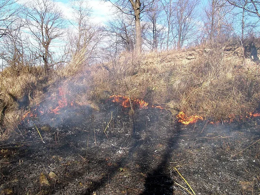 Дядо отива на съд за палеж