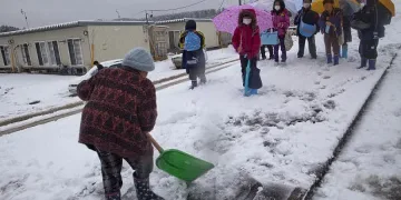 Снежен ад в Япония