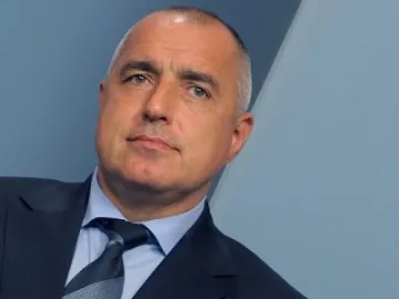 Гербер писа 5,50 на Бойко