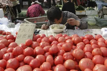 Над 1000 кликнаха доматената революция