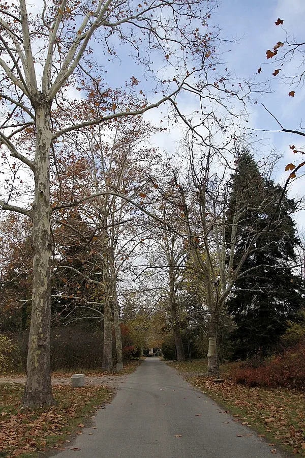 "Врана" става царски музей