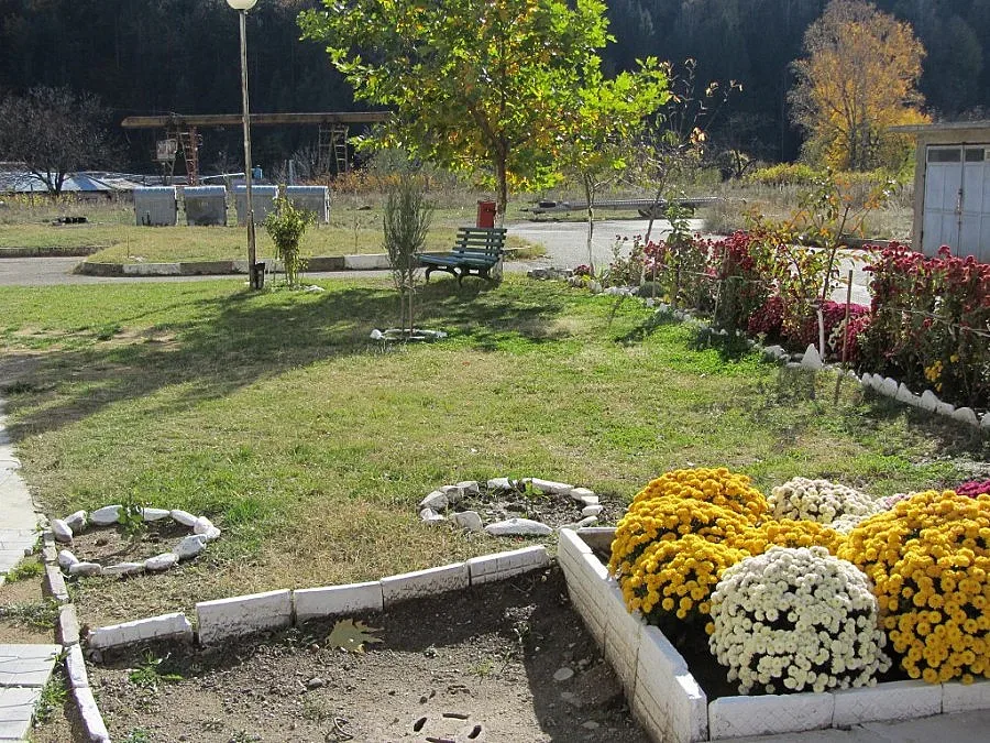 Пълнят с цветя образцови квартали