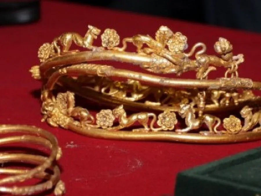 Гардове вардят могилата в Свещари