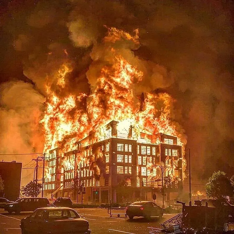 Домашен любимец предизвика пожар