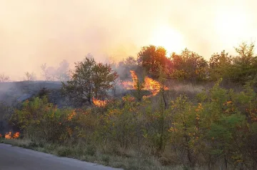 Стара планина още гори