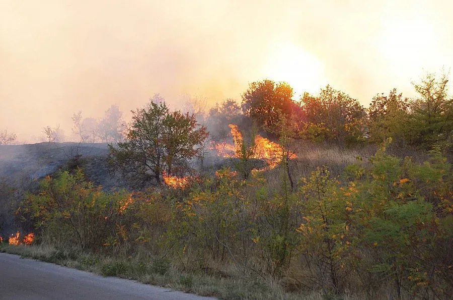 Стара планина още гори