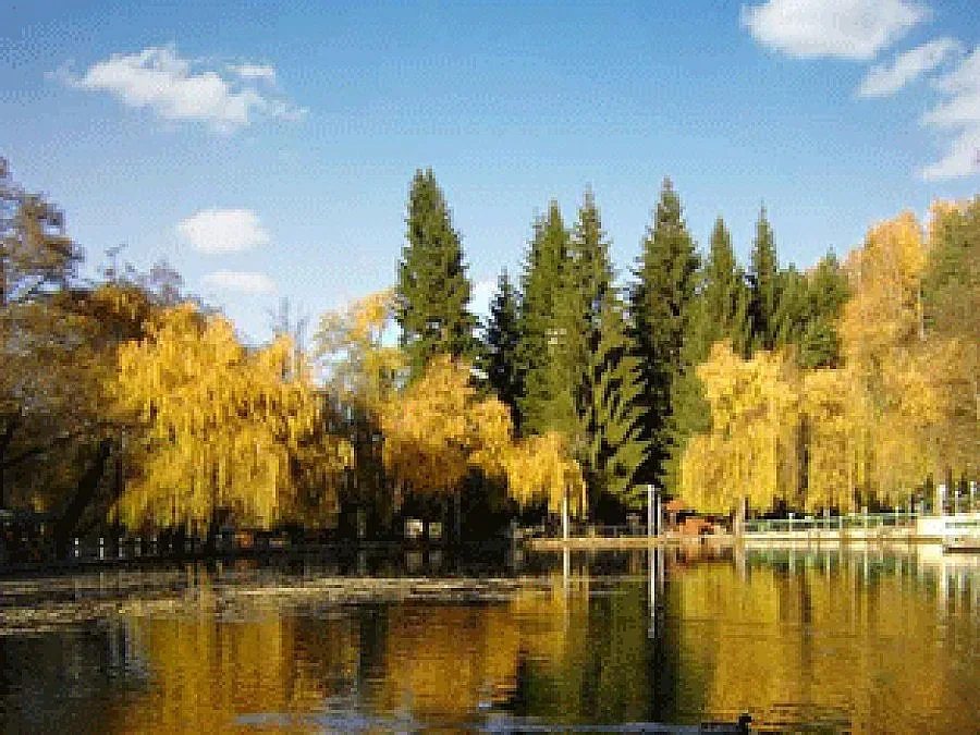 Застраховат минерални бани срещу земетръс