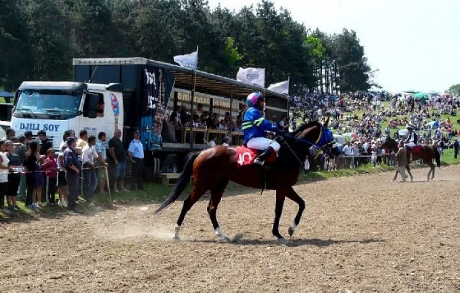 Наши "принцеси" надбягаха световни жребци