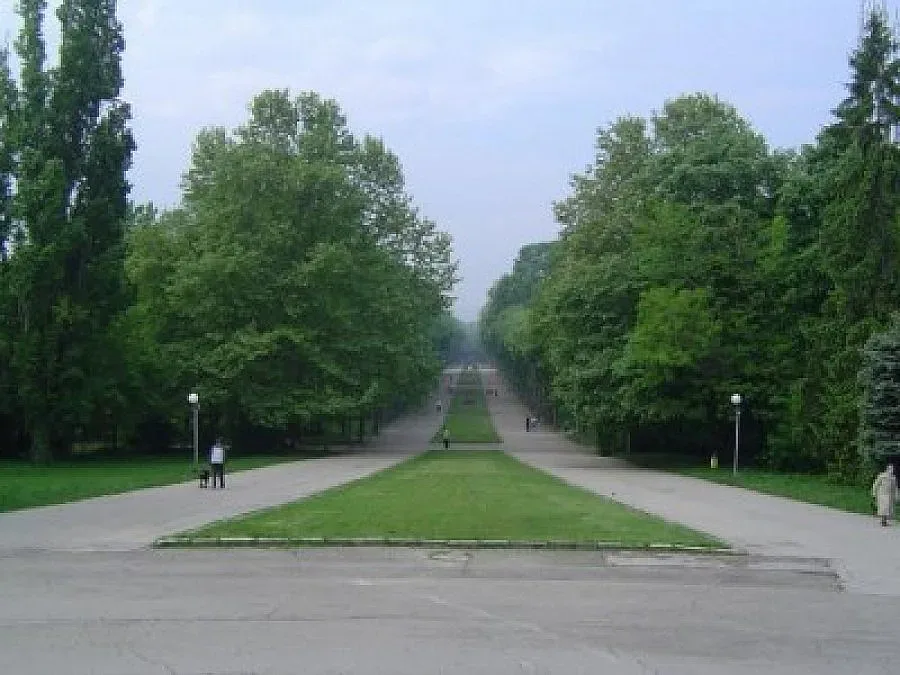 Пускат с референдум коли в Морската градина