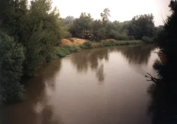 Тимок тече през мъртви земи