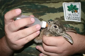 ТЕЦ даде рамо на природозащитен център