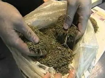 Спипаха 3 кг марихуана в кола на холандец