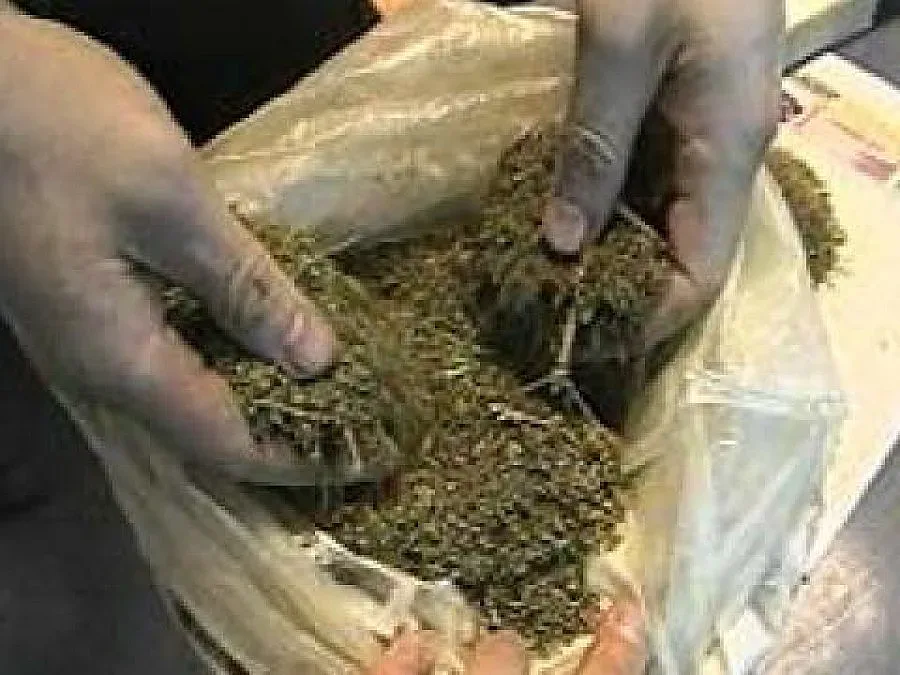 Спипаха 3 кг марихуана в кола на холандец