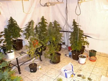 Ексченге върти канал с дрога