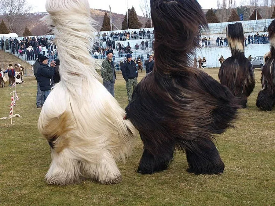 Симитли привлича туристи с Музей на кукерите