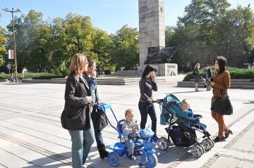 Млади гербери борят трафика на хора